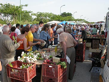 Marché de Velleron