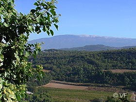 Venasque Provence Ventoux
