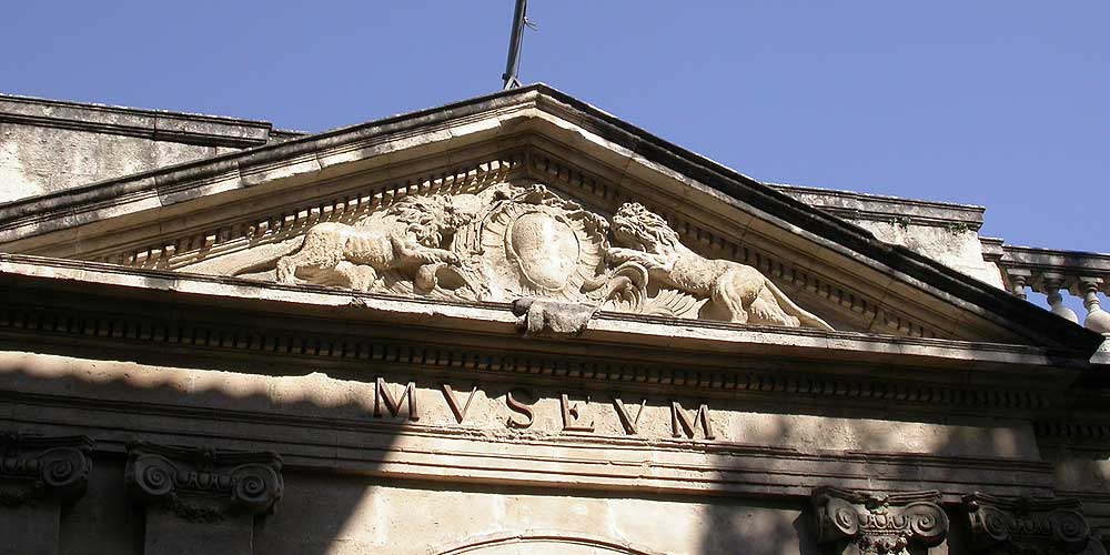 Musée Calvet en Avignon © VF