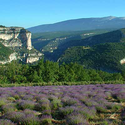 Gorges de la Nesque