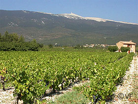 Mont Ventoux © VF